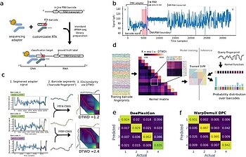 WarpDemuX - Method for Demultiplexing of RNA-sequencing DATA
