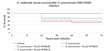 Inhibitors of Energy Coupling Factor (ECF) Transporters Against Gram-Positive Pathogens