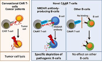 NMDAR targeted CAAR-T cell therapy