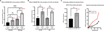 Advancing Bioproduction: HDLBP overexpression enhances protein production and secretion
