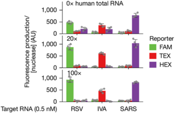 Programmable RNA-Guided Enzymes and Novel Orthogonal Substrates for Crispr Diagnostics