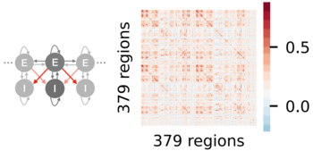 Method for tuning brain network models for the implementation of brain digital twins